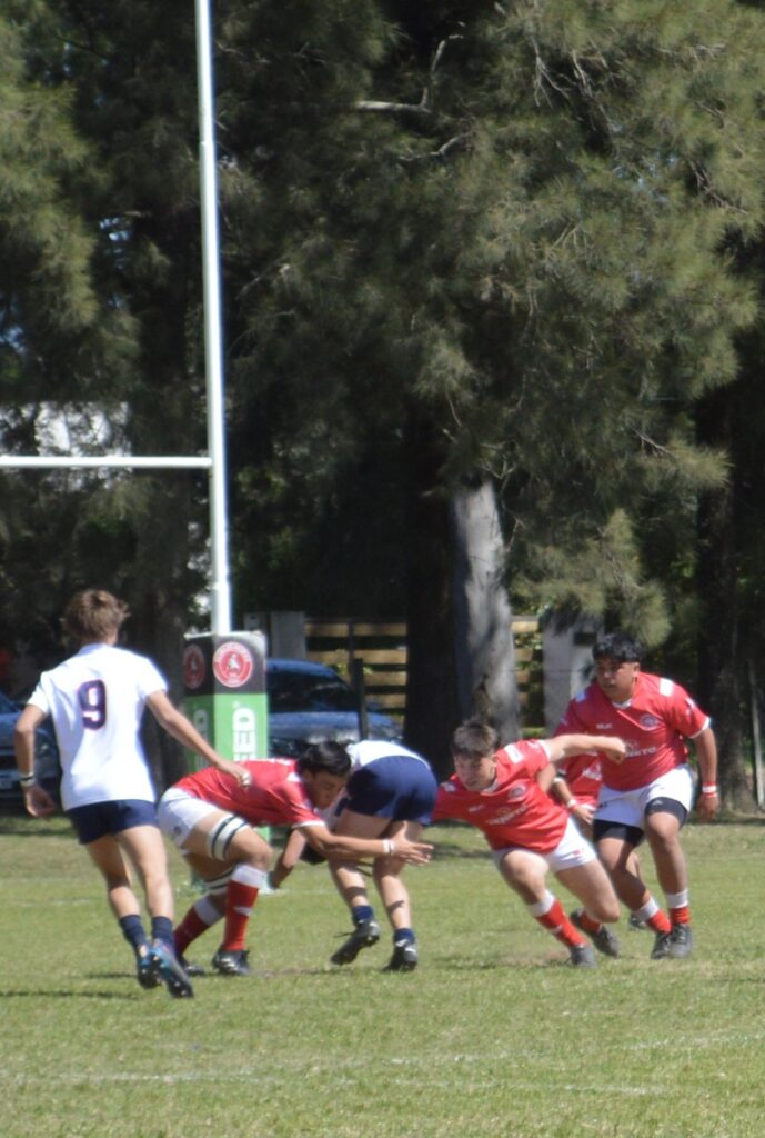 IMG-20241215-WA0030