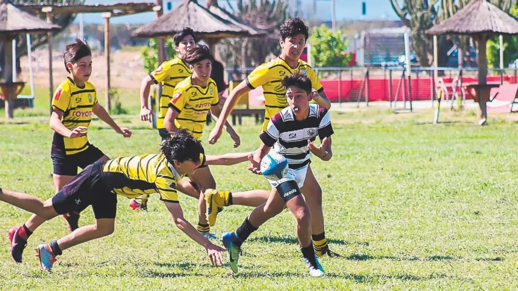 INFANTILES TEROS CRC