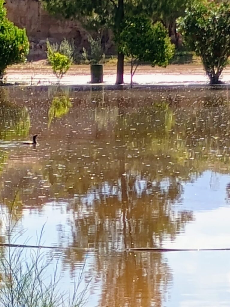 NEVADO INUNDADO 3