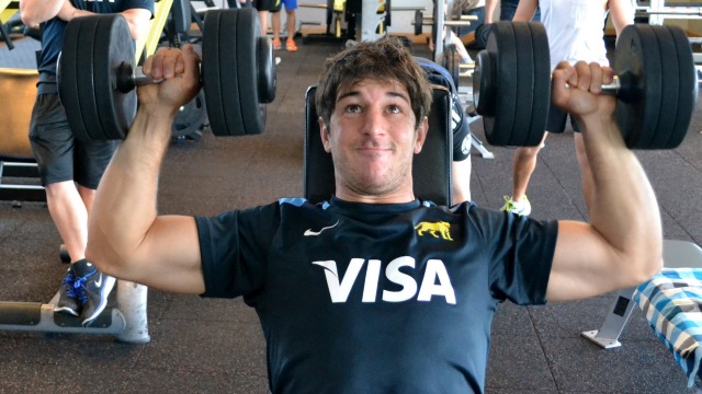 entrenamiento pesas rugby
