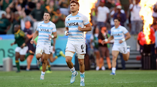 pumas 7