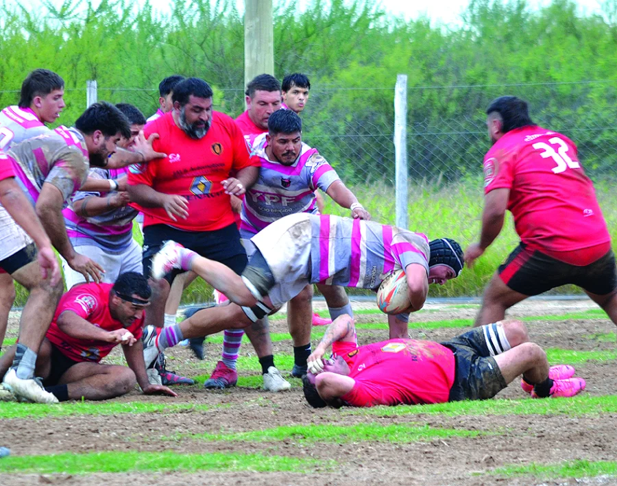 crar vs hurones